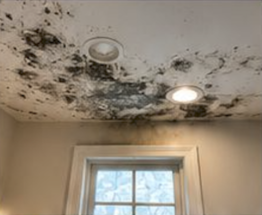 Ceiling staining above master shower