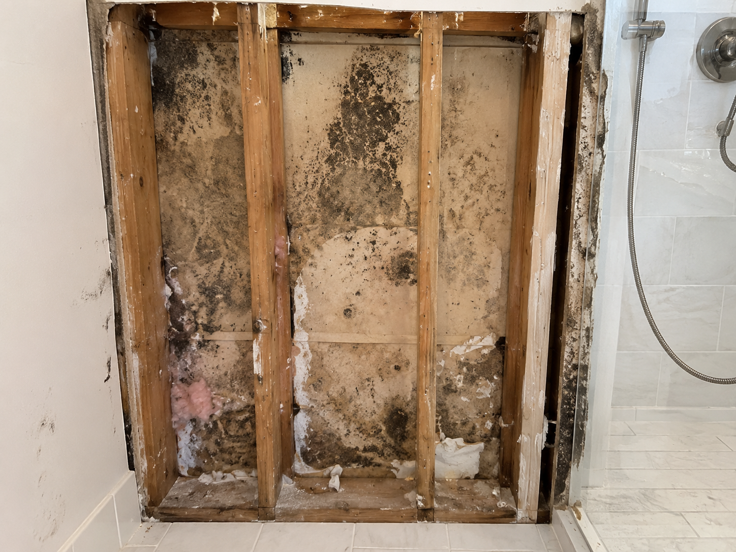Mold growth on drywall behind shower wall