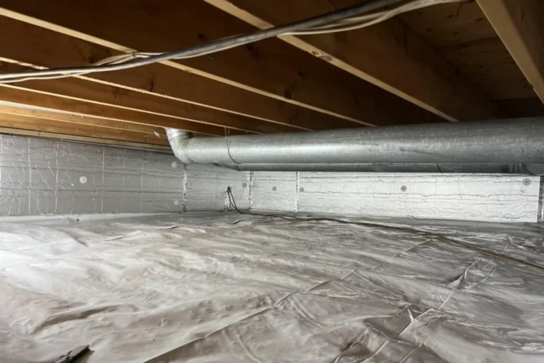 Crawl Space Mold: Causes and Solutions for Montgomery County Homes