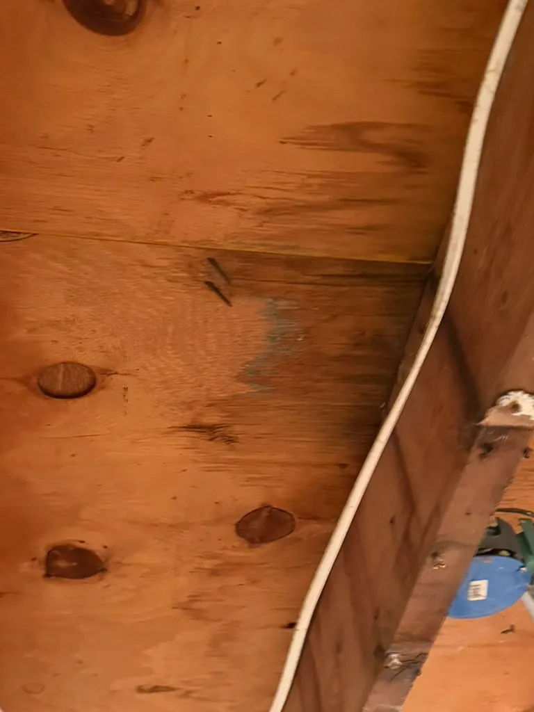 Dark spotting on the subfloor and joist above the basement ceiling