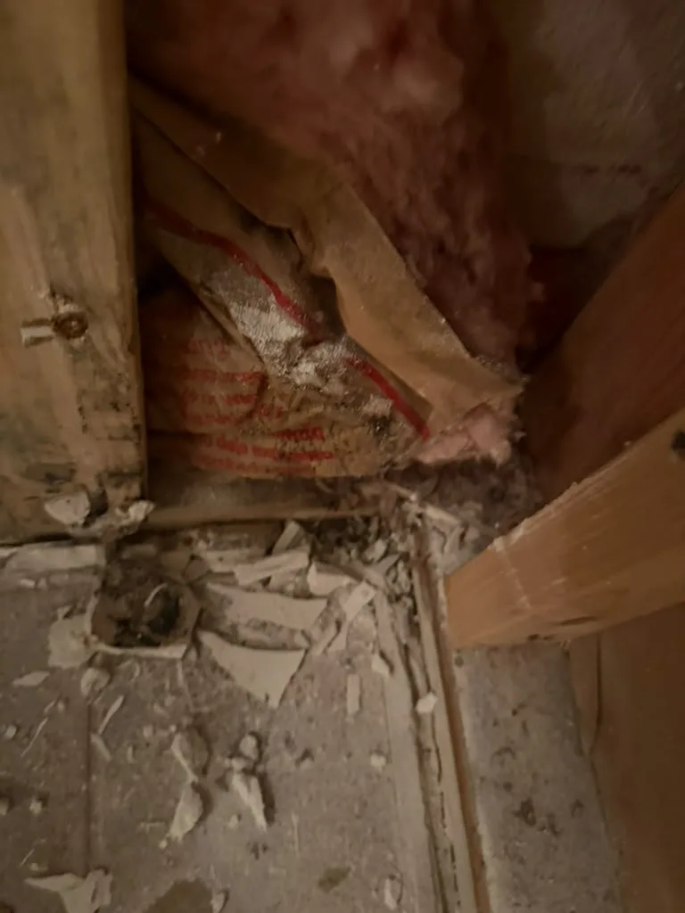 Opened wall cavity at the base of a basement wall showing affected insulation and debris